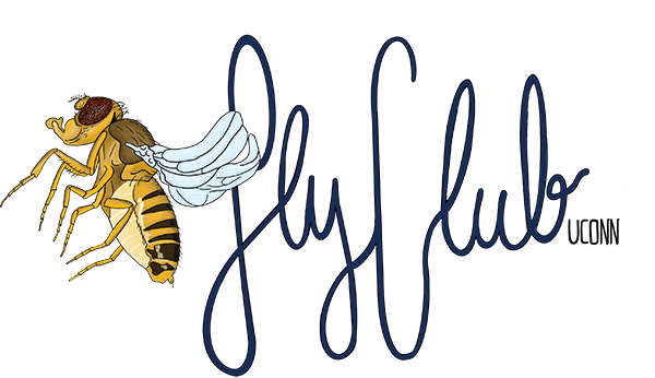 Fly Club Logo